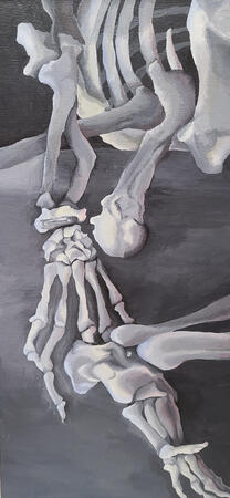Skeleton Study