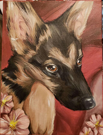 Portrait of a German Shepard Pup